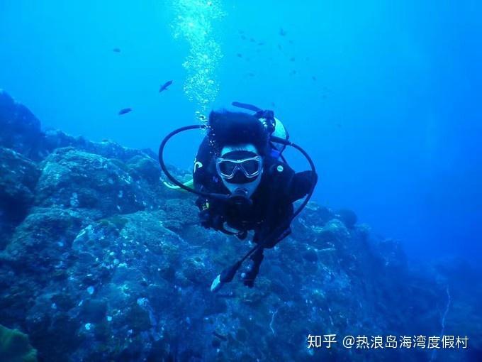 全民剧本大师内置菜单